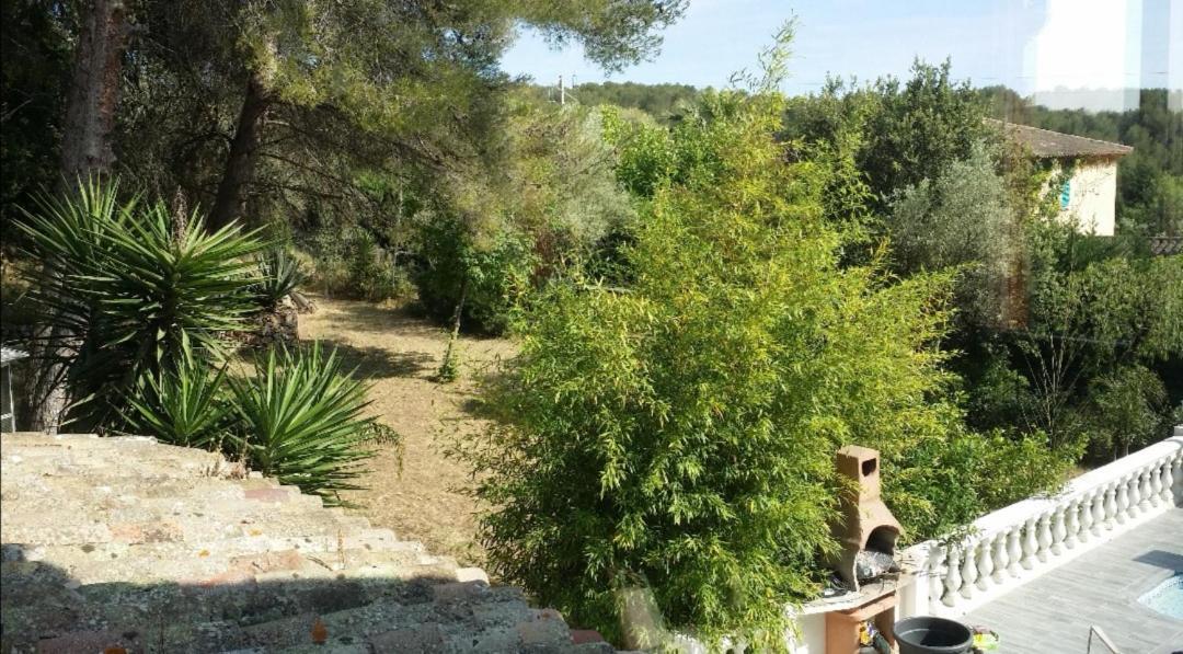 Appartement Pinede Man Yelle Sanary-sur-Mer Εξωτερικό φωτογραφία
